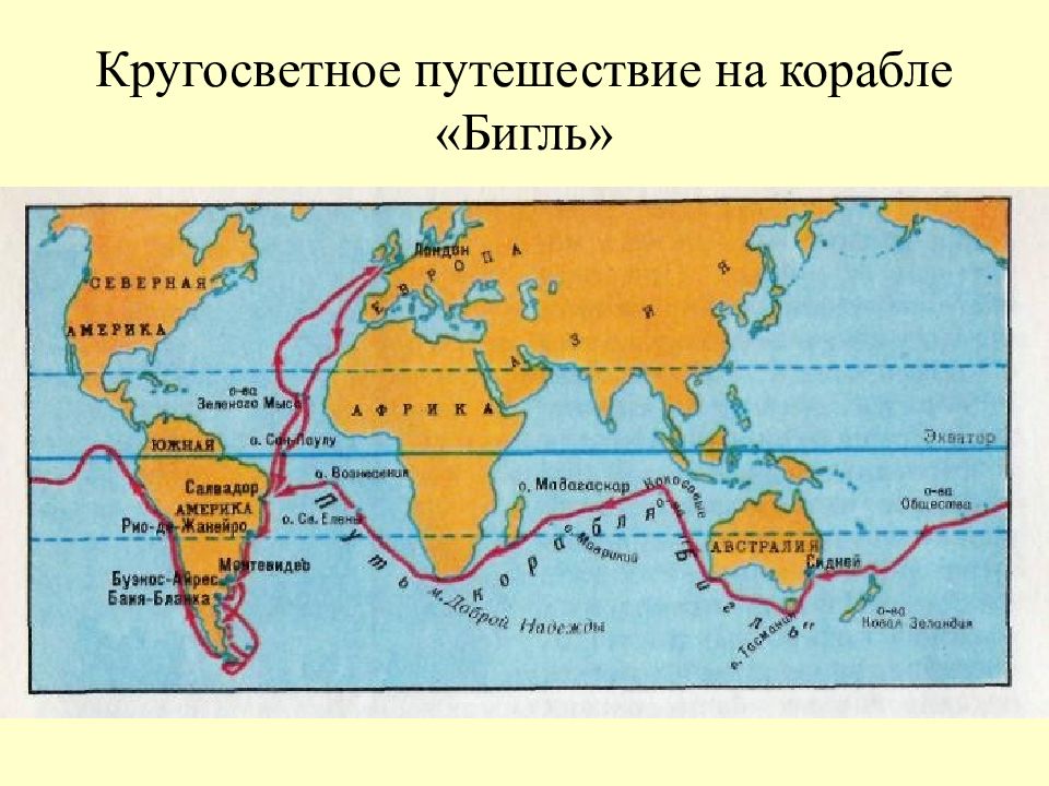 Ч дарвин кругосветное путешествие. Карта путешествия Чарльза Дарвина на корабле Бигль. Маршрут кругосветного путешествия Чарльза Дарвина.