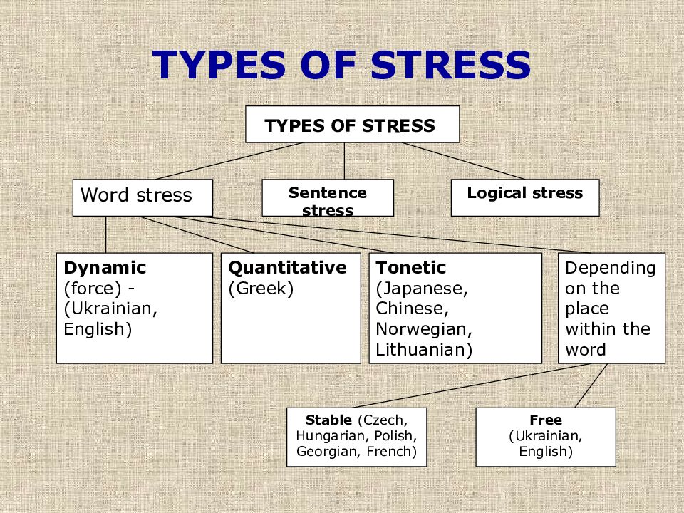 Word types. Word stress in English Phonetics. Degrees of Word stress in English. Types of sentence stress. Types of stress in Phonetics.