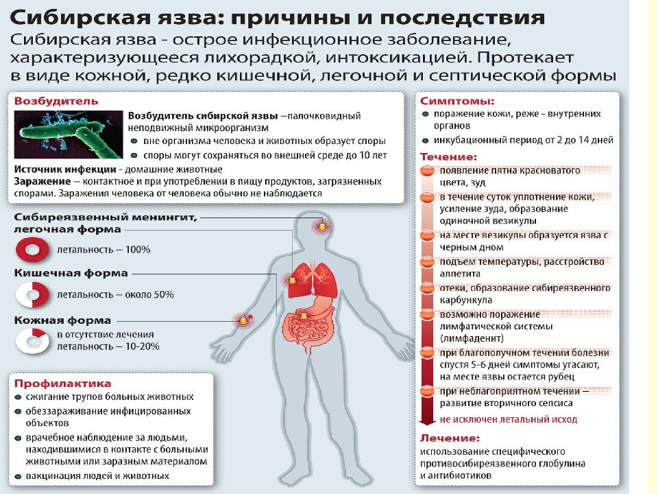 Сибирская язва презентация инфекционные болезни