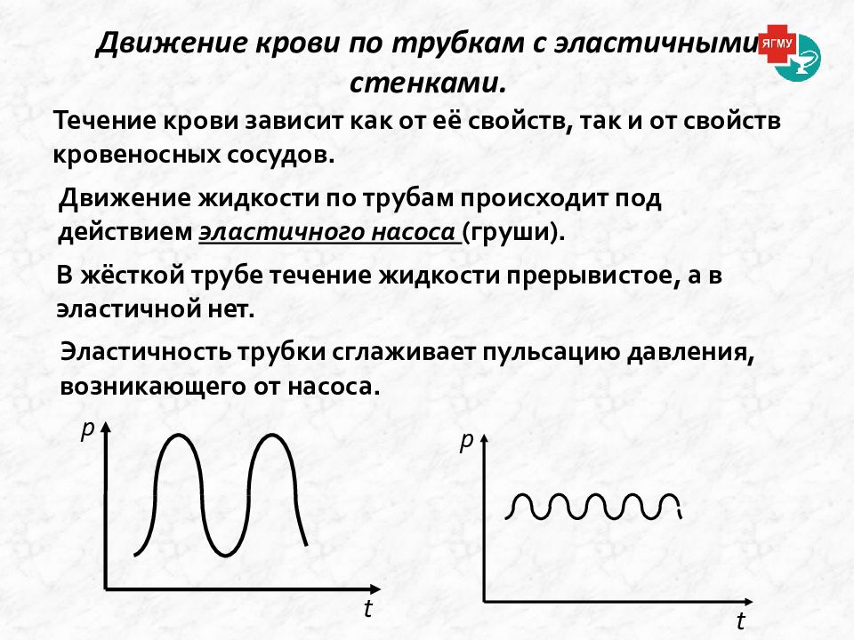 Реология крови презентация