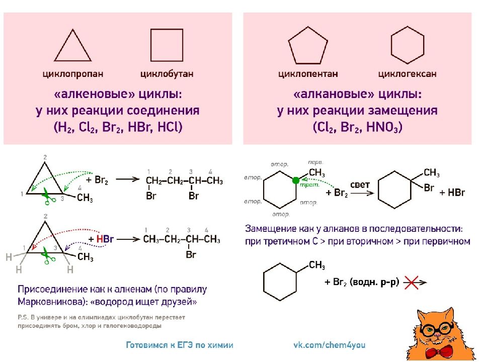 Егэ степенин химия. Циклоалканы Степенин. Циклоалканы вся теория для ЕГЭ. Циклопарафины реакции раскрытия цикла. ЕГЭ С химическим котом.