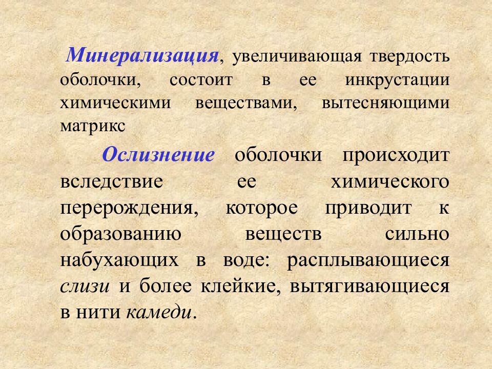 Увеличение твердо. Морфолого-анатомические признаки. Ослизнение растений. Ослизнение это в ботанике.