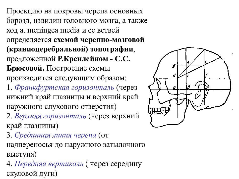 Схема черепно мозговой топографии схема кренлейна