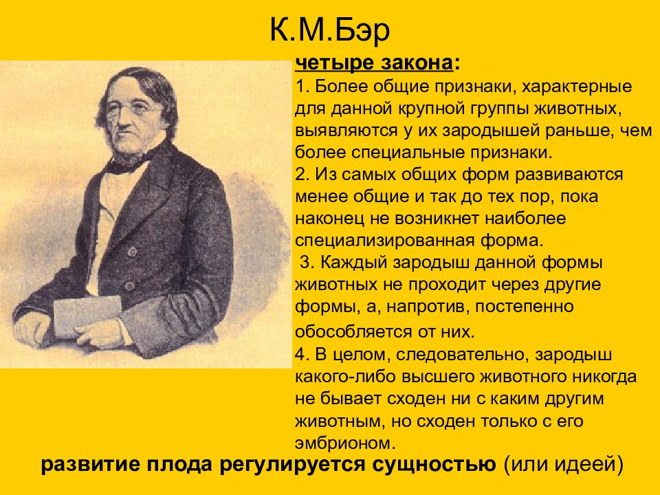 Бэр это. К М Бэр. Карл Максимович Бэр презентация. Бэр краткая биография. 390 Бэр.