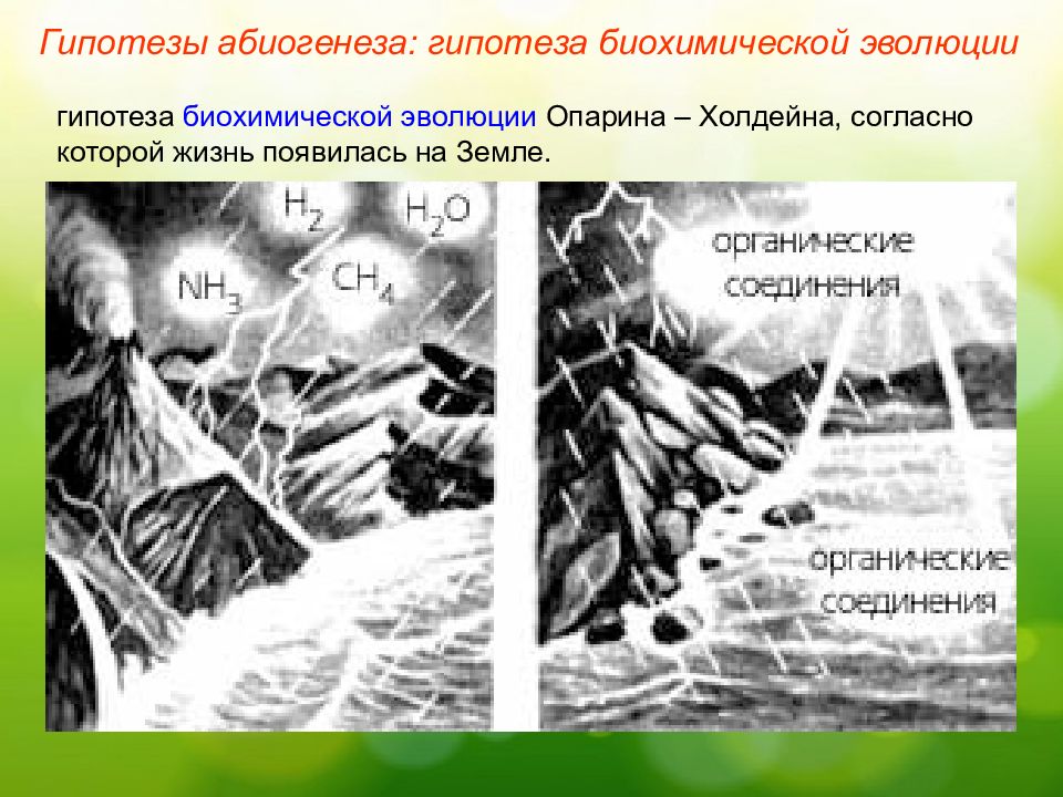 Абиогенез. Биохимическая гипотеза Опарина Холдейна. Эволюция Опарина Холдейна. Биохимическая Эволюция Опарина. Абиогенез гипотеза Опарина.