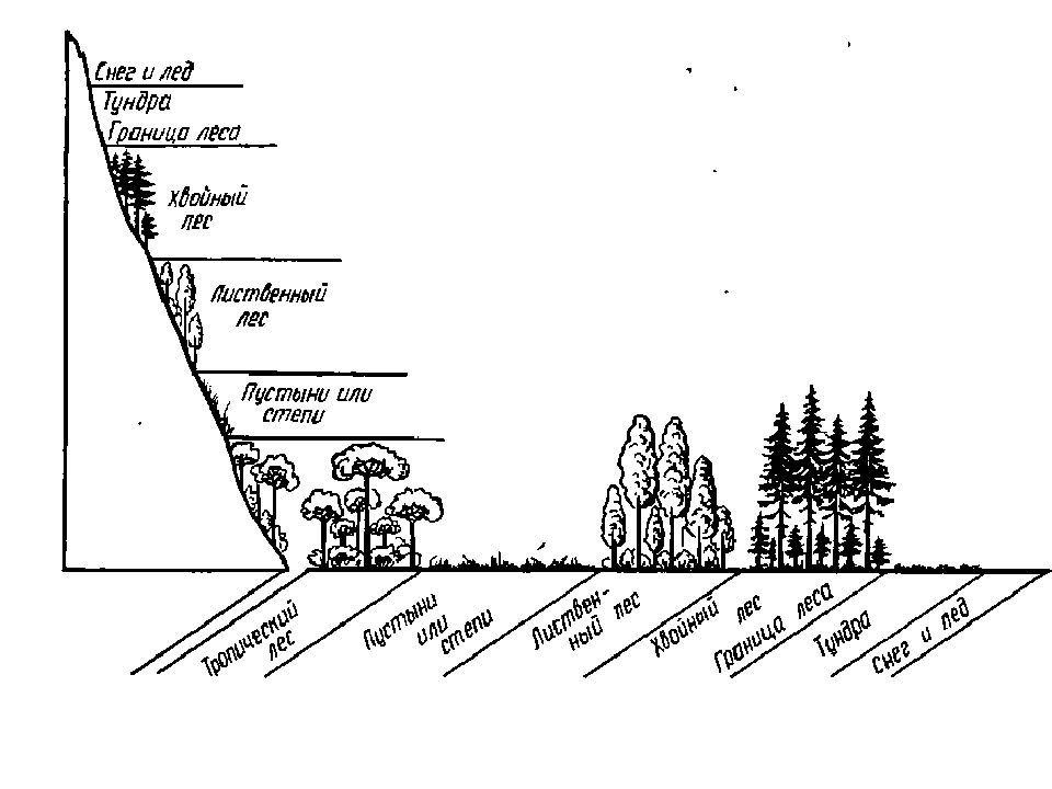 Зональность рельефа. Схема естественного природного ландшафта. Природный ландшафт схема. Вертикальная зональность растительности. Зональное распределение растительности.