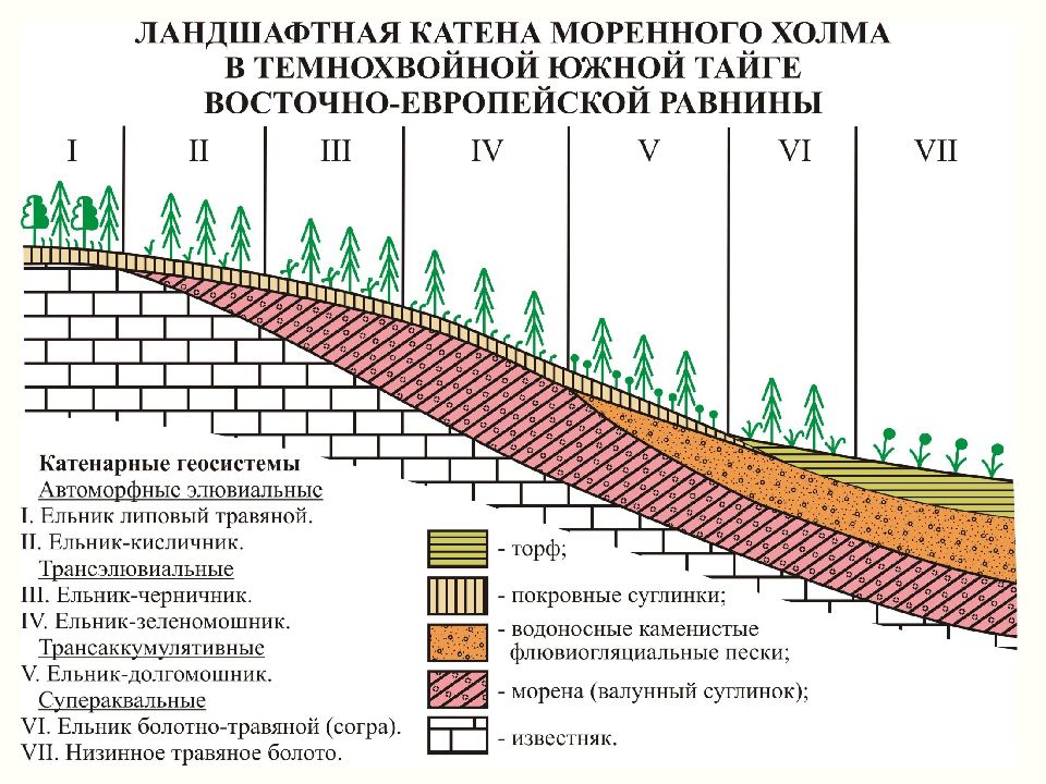 Виды ландшафта схема