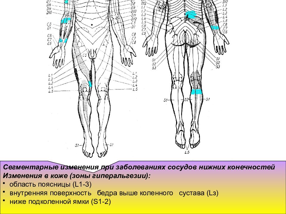 Рефлекторные приемы. Схемы для рефлекторно-сегментарного массажа. Сегментарный массаж техника и методика выполнения. Рефлекторно-сегментарный массаж зоны крестца. Рефлекторно сегментарные методики.