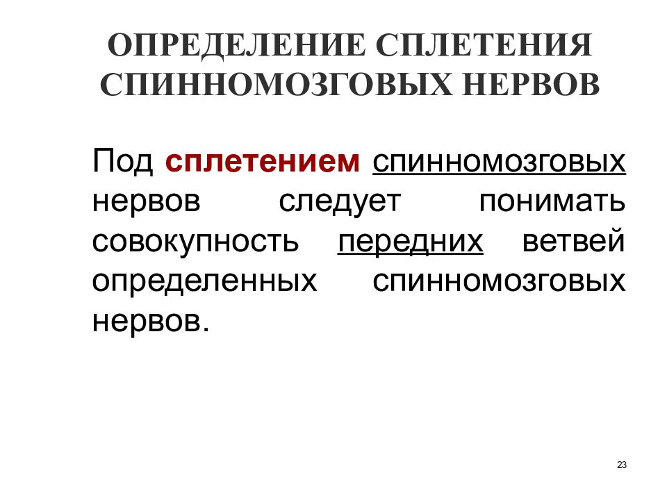 Функциональная анатомия периферической нервной системы презентация