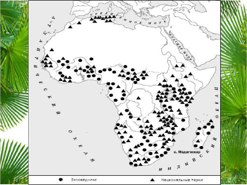 Национальные парки африки карта