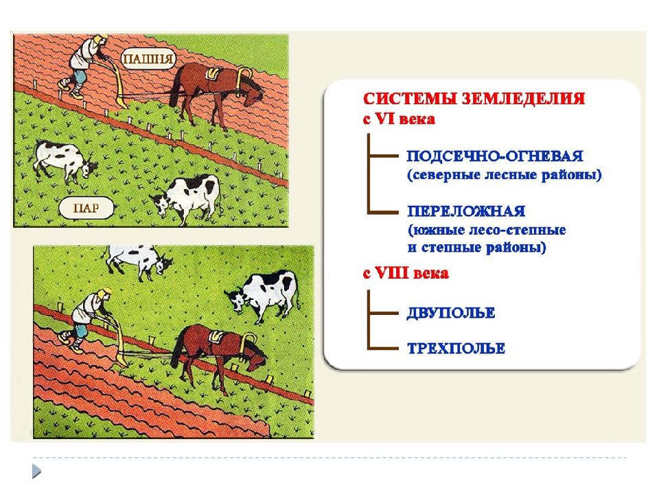 Земледелие схема 3 класс