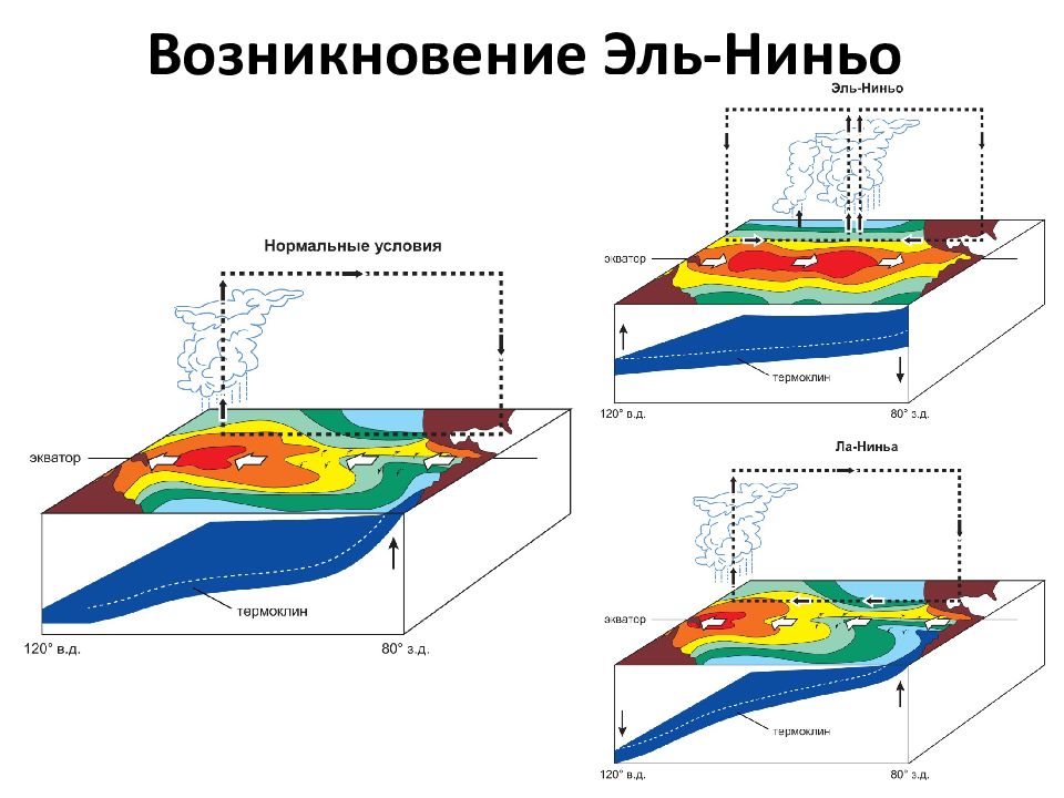 Эль ниньо картинки