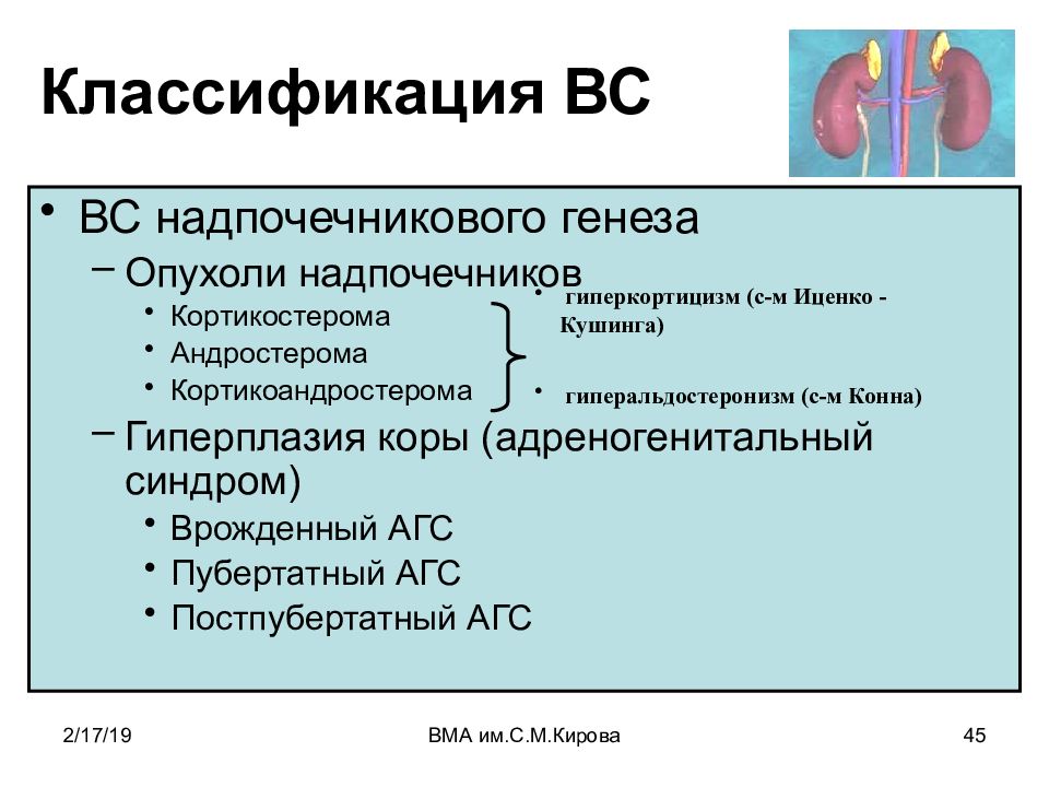 Нейроэндокринные синдромы в гинекологии презентация