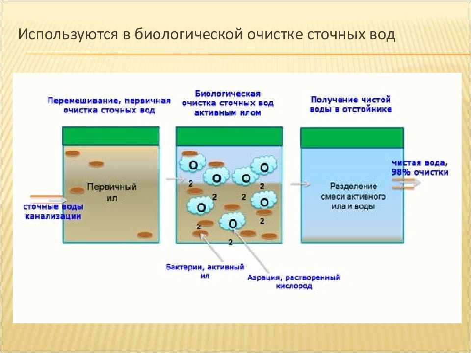 Схема биологической очистки воды