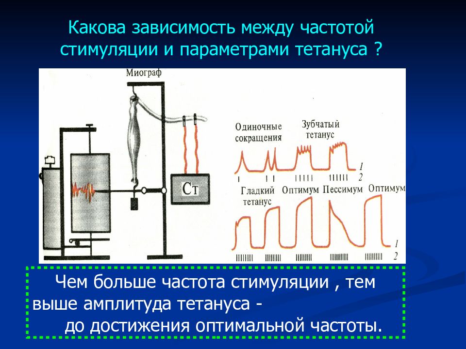 Какова зависимость. Миограф схема. Какова зависимость между:. Тетанус физиология частоты стимуляции мышцы. Гладкий тетанус Оптимум и пессимум.