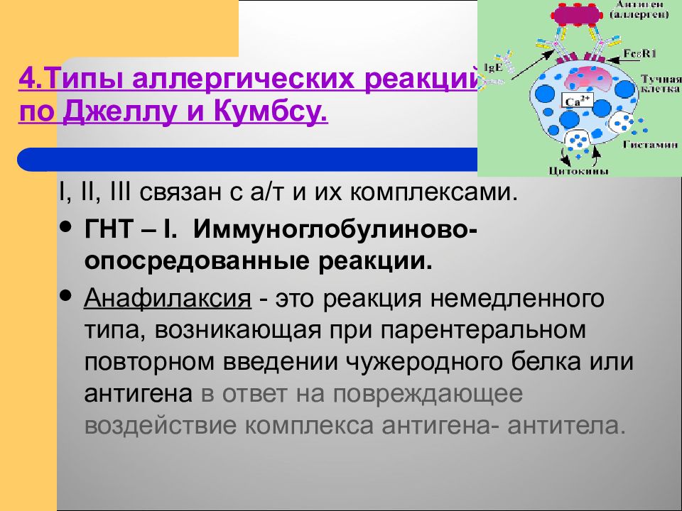 Аллергические типы. 4 Типа аллергических реакций по Джеллу и Кумбсу. Аллергические реакции немедленного типа. Аллергия немедленного типа. Что лежит в основе аллергической реакции немедленного типа.