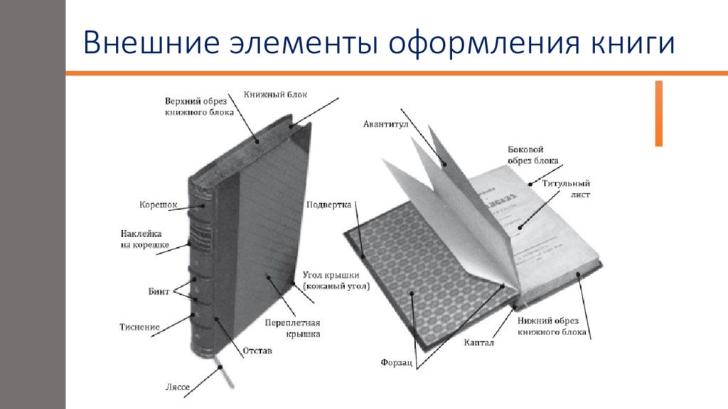 Книга состоит из страниц а презентация из