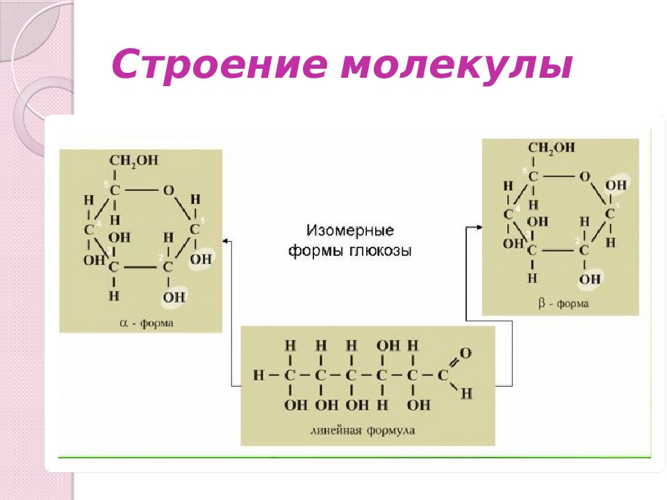 Строение углеводов. Строение молекул: углеводы Глюкоза. Схема строения молекул углеводов. Строение молекул сахариды. Структура строение углеводов.