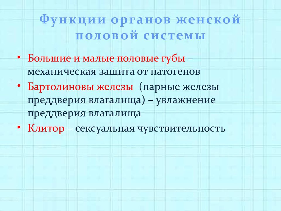 Большие и малые железы преддверия функции. Бартолиновые железы где находятся. Бартолиновая железа функции у женщин. Малые железы преддверия влагалища.