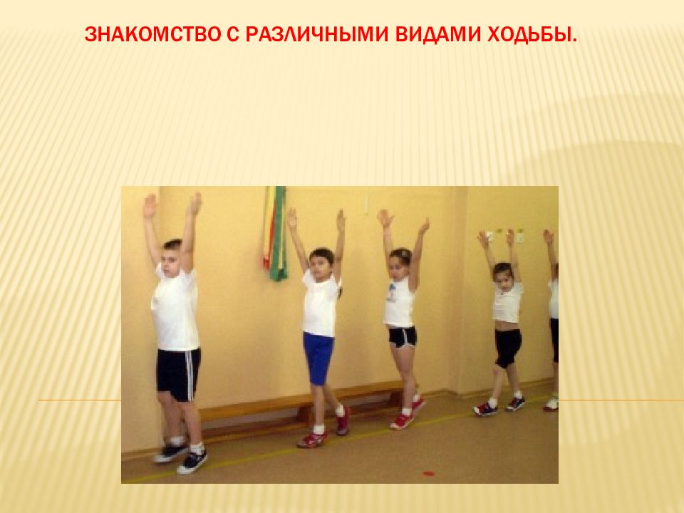 Знакомство с Различными ВИДАМи ХОДЬБЫ.
