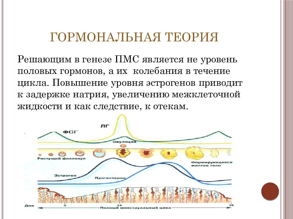 Течение цикла. Колебания гормонов в течение цикла.