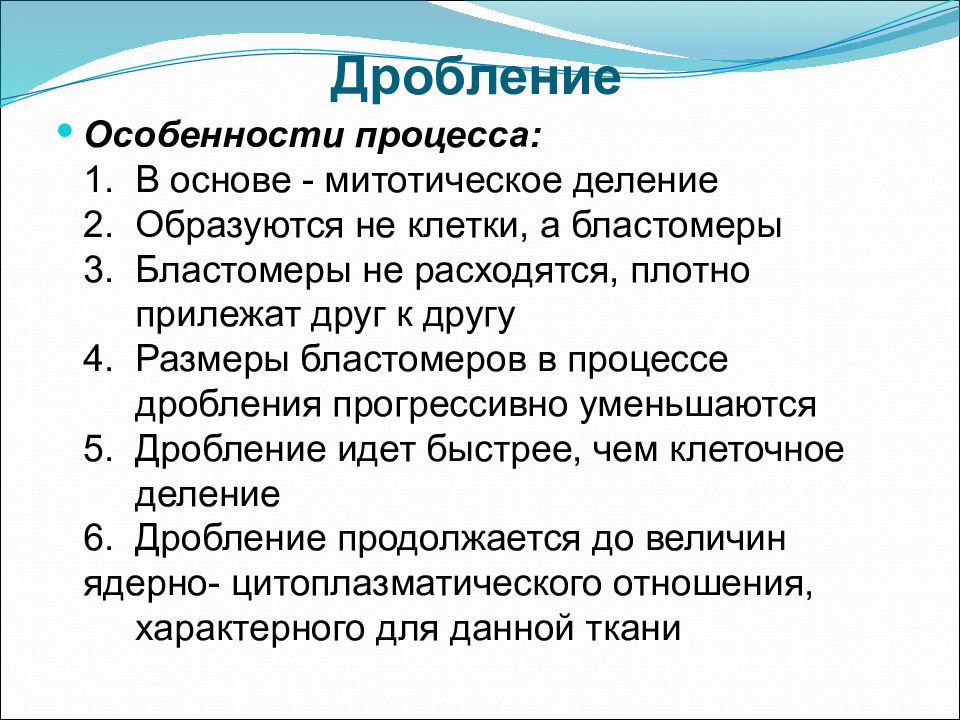 Деление дробления. Особенности митотических делений дробления. Особенности процесса дробления. Особенности митотического деления дробления. Особенности митотических циклов в процессе дробления.