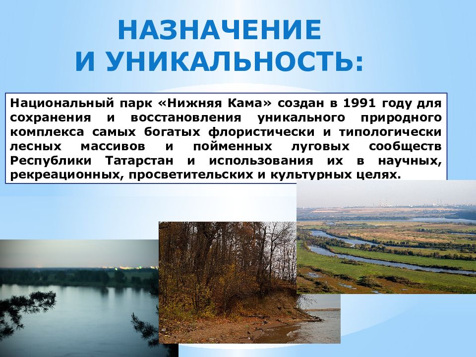 Природный комплекс парк. Национальный парк нижняя Кама. Национальный парк нижняя Кама Республика Татарстан. Природные парк нижняя Кама (Татарстан). Национальный парк нижняя Кама рассказ.