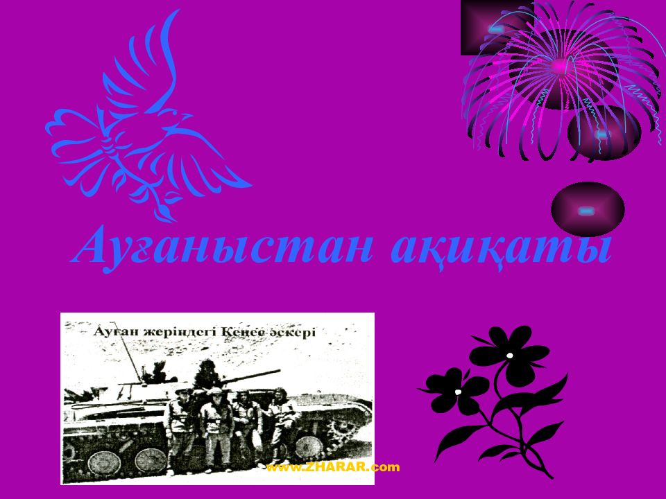 Ауғаныстан ақиқаты