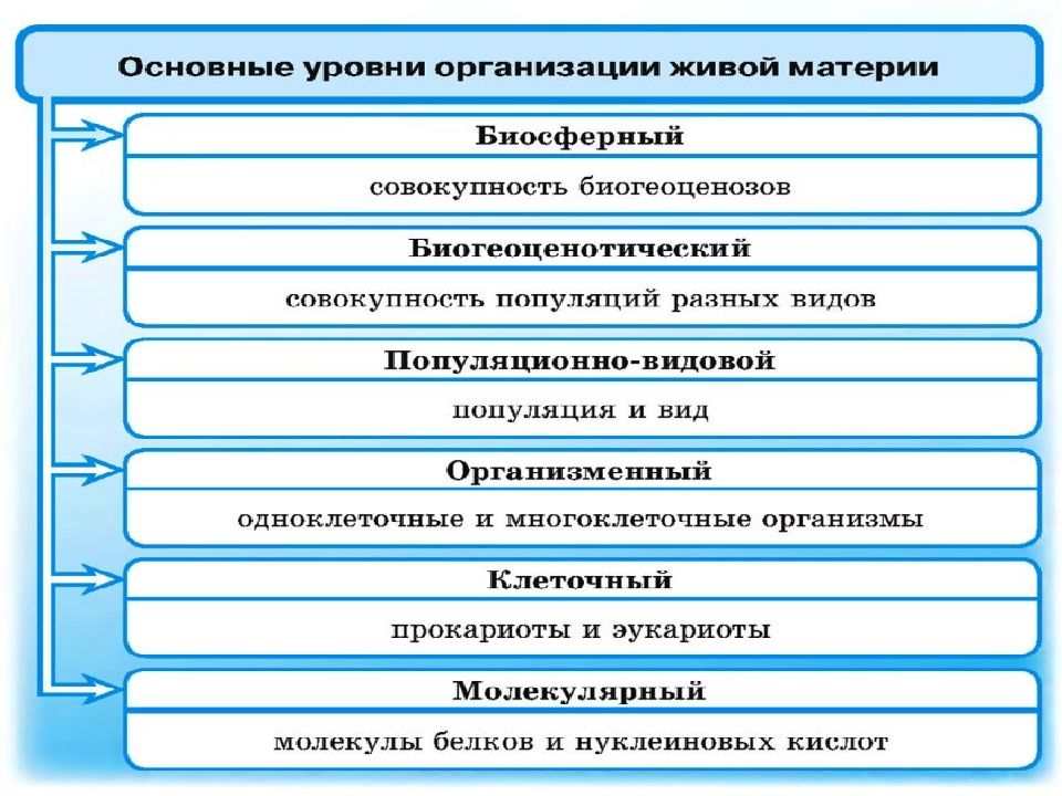 Методы исследования в проекте по биологии