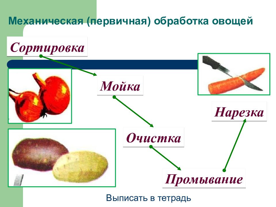 Технология овощей