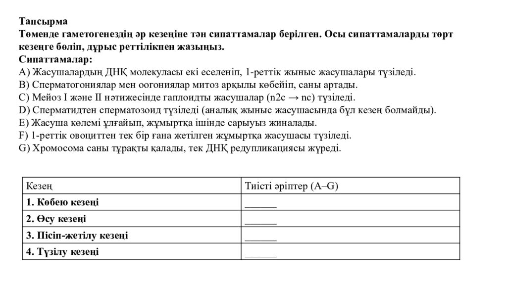 Гаметогенез. Адам гаметогенезінің сатылары. Сперматогенез бен оогенезді