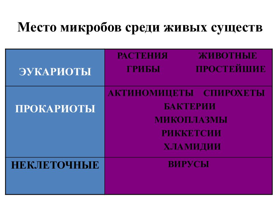 Положения бактерий. Классификация бактерий. Современная систематика бактерий. Место микроорганизмов среди живых микроорганизмов. Т.