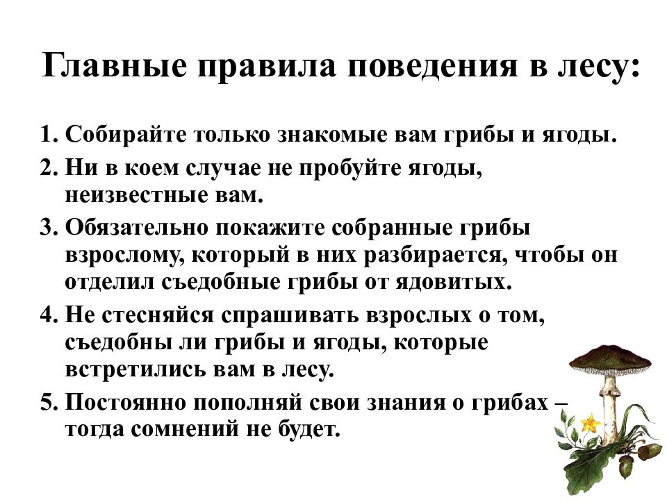 Памятки паспорта ядовитых грибов по приведенному ниже образцу