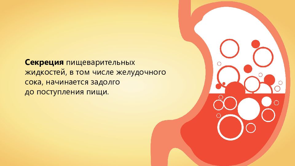 Задолго. Регуляция пищеварения гигиена питания. Желудочный сок во рту 6 букв.