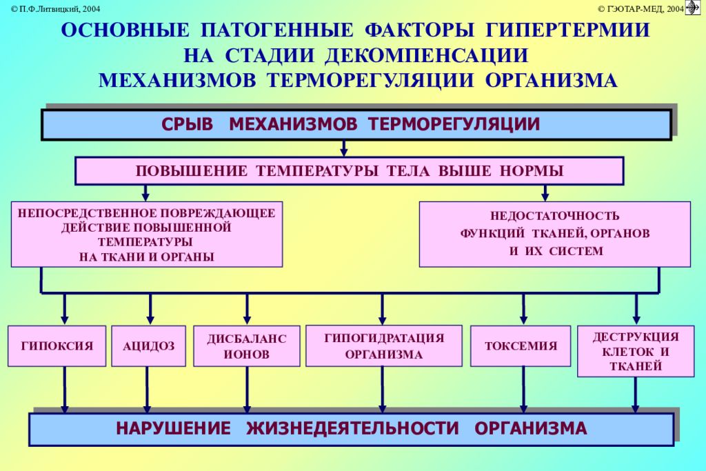 Стадии гипертермии