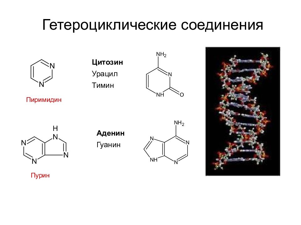 Аденин формула структурная фото