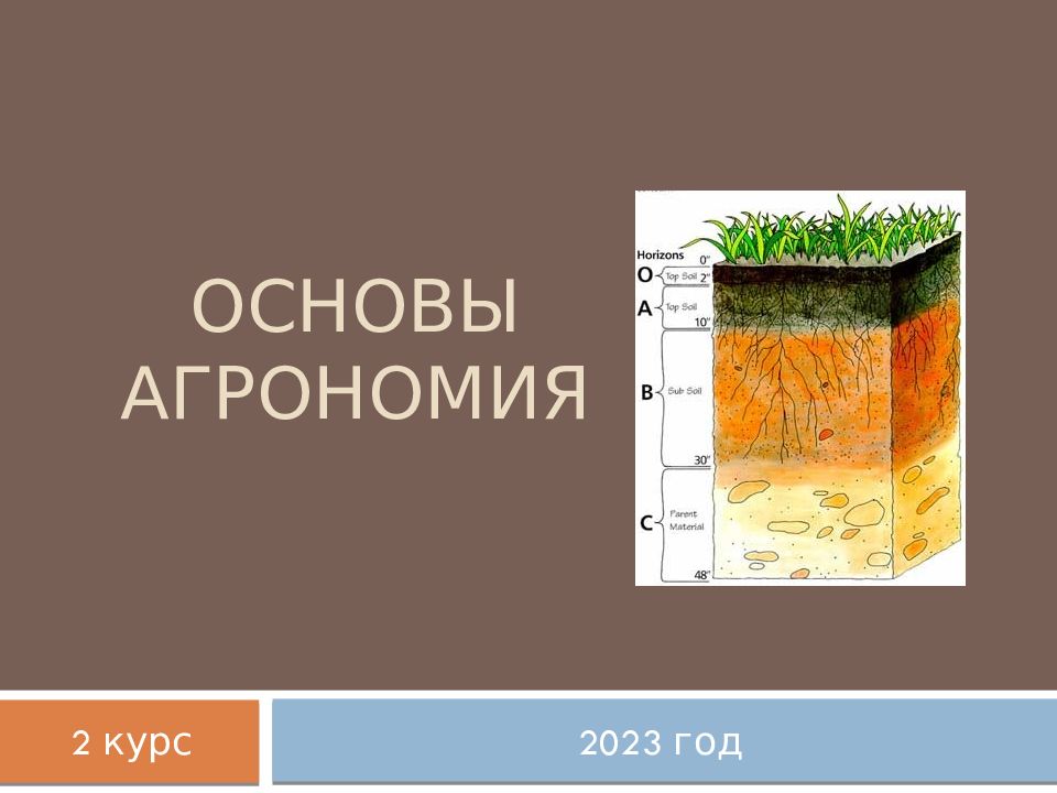 Основы Агрономия