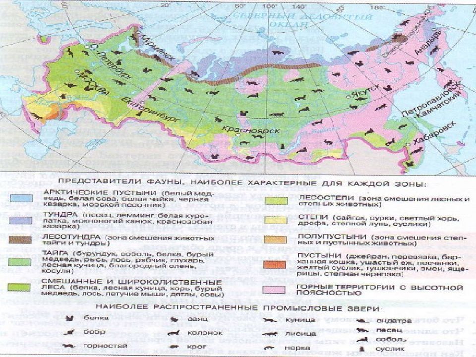 Повторение по географии 9 класс презентация