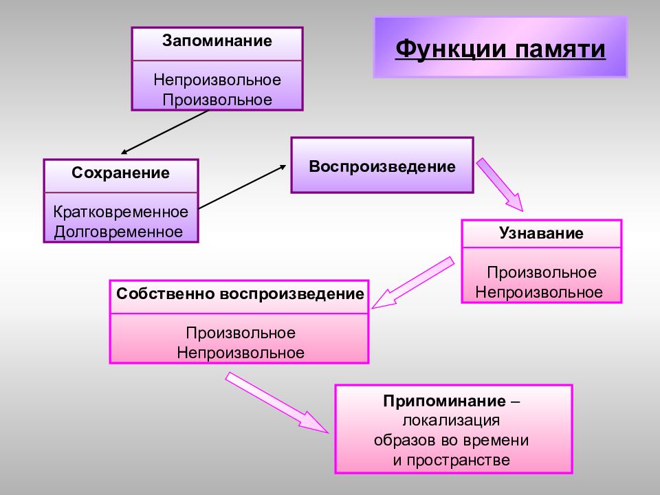 Вид памяти включающий процессы запоминания. Функции процесса память в психологии. Основные функции памяти. Памяти человека свойственны функции. Перечислите основные функции памяти.