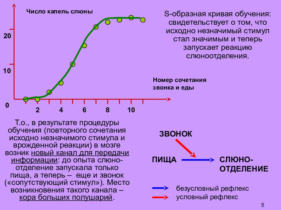 Капля слюны. Кривая обучения. S образная кривая обучения. Кривая обучения график. Кривая развития навыков.