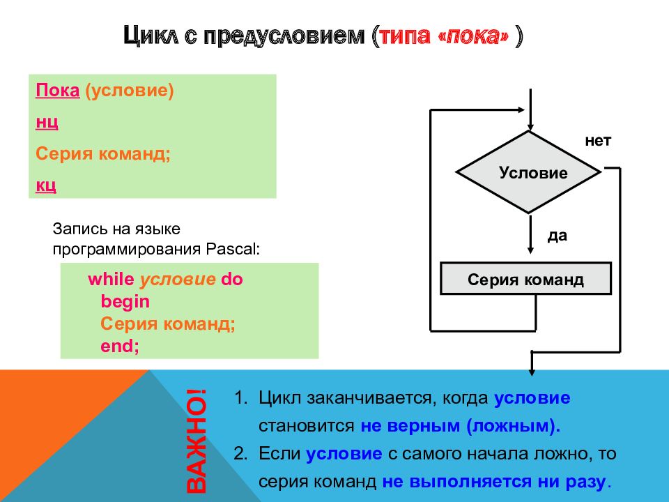 Цикл с предусловием паскаль презентация