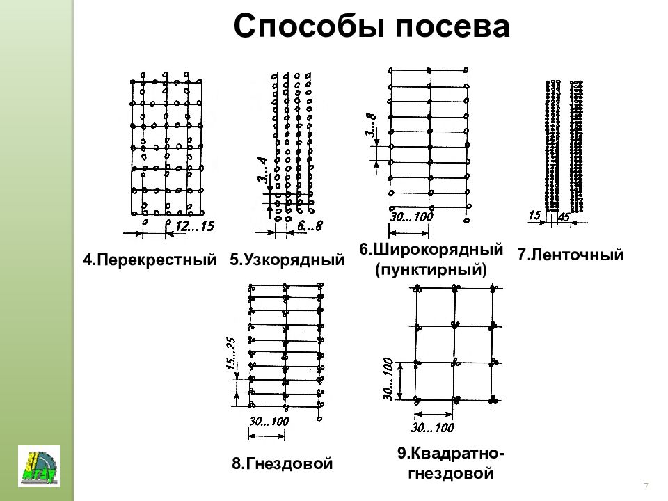 Двухстрочная схема посева