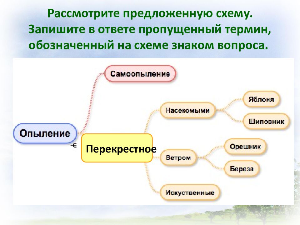 Рассмотрите схему запишите в ответе пропущенный термин обозначенный на схеме