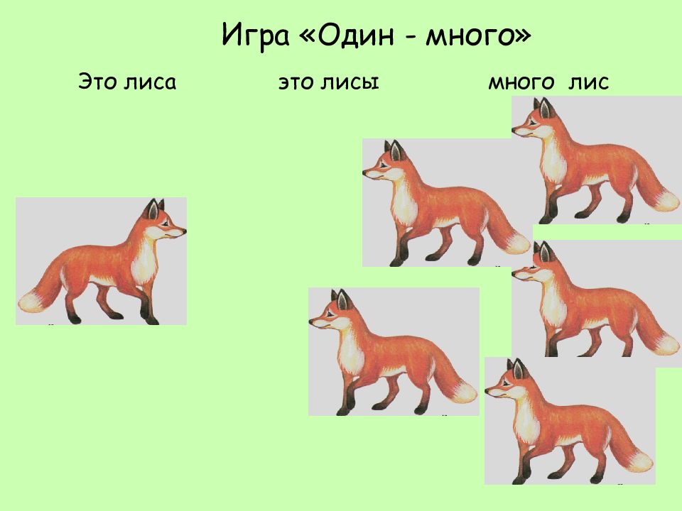 Как играть в игру лиса. Кенгуру один и много. Картинки лиса для логопеда для детей.