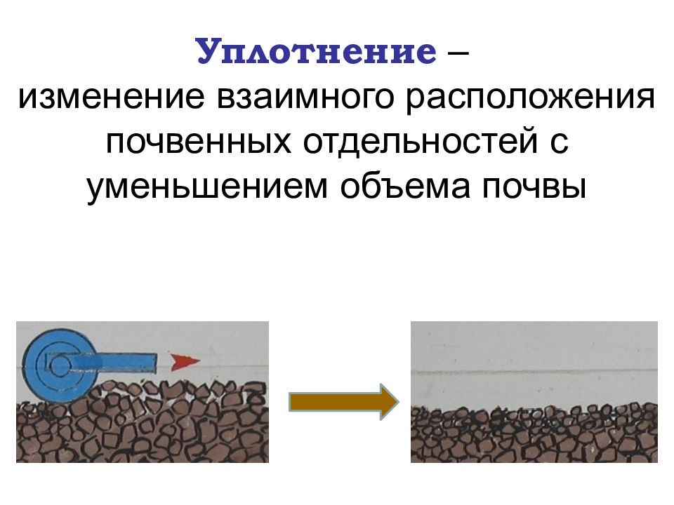 Взаимно изменены. Уплотнение почвы снижение. Взаимное размещение почвенных агрегатов. Почему происходит уплотнение почвы. Взаимное размещение почвенных агрегатов 8 букв.