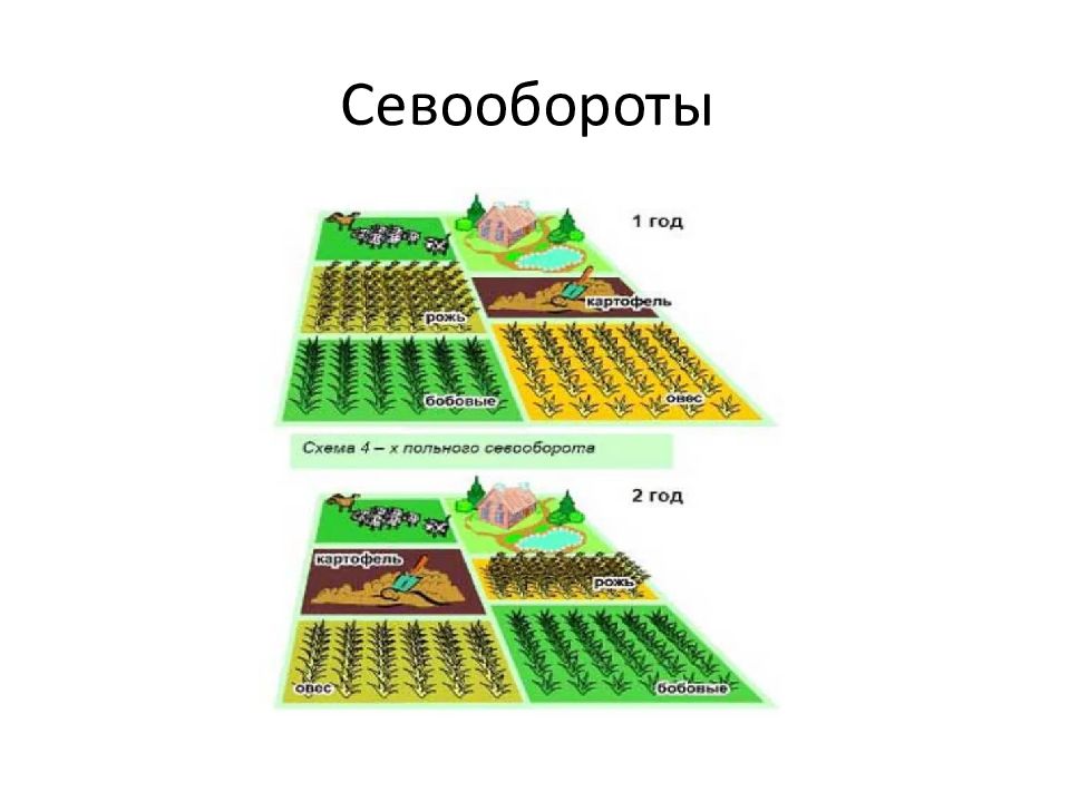 Типы севооборотов. Противоэрозионный севооборот.