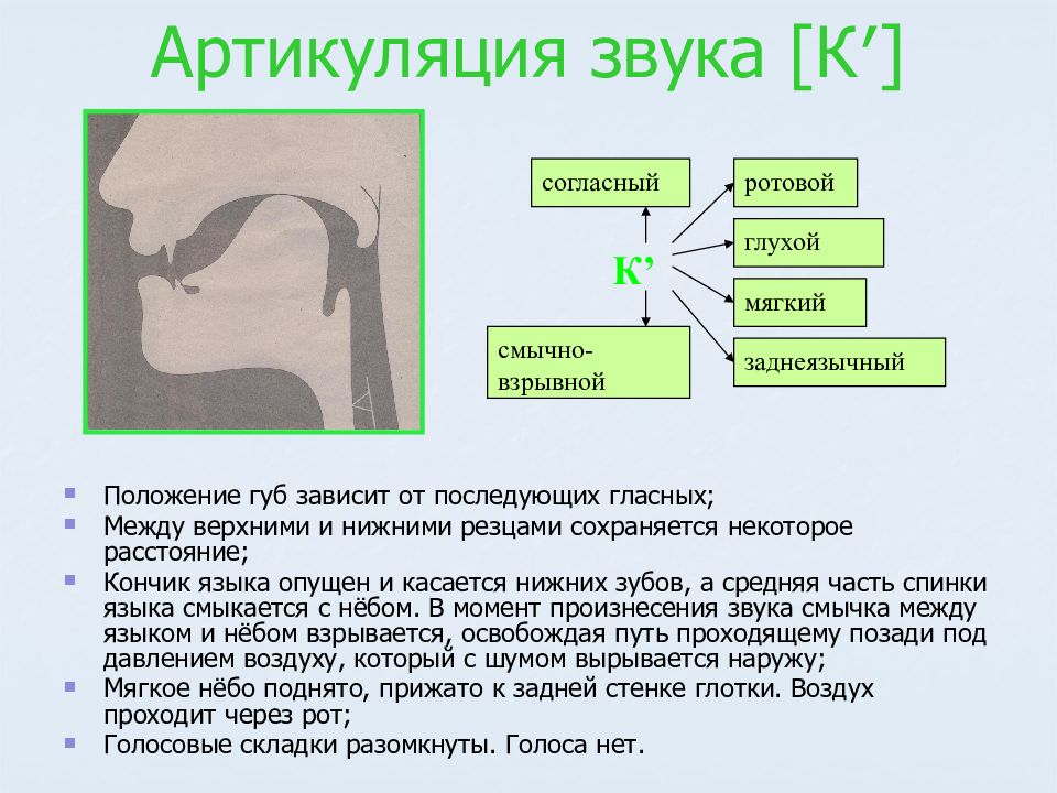 Методы исследования артикуляции презентация