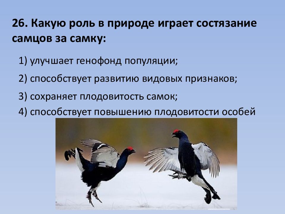 Какую роль играет большую роль в. Роль самца в природе. Роль орла в природе. Роль популяции. Роль популяции в природе.