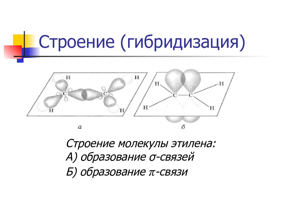 Гибридизация молекулы этилена. Алкены строение молекулы. Строение молекулы этилена. Этилен гибридизация. Алкены гибридизация.