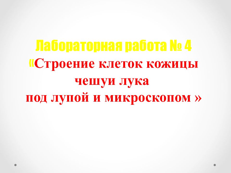Лабораторная работа № 4 « Строение клеток кожицы чешуи лука под лупой и